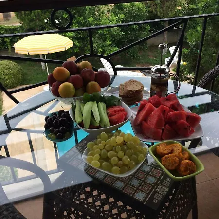 Apartament A 5-bedroom Duplex With A Swimming Pool And A Garden